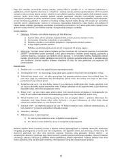 Įmonės ekonomikos tyrinėjimas 19 puslapis