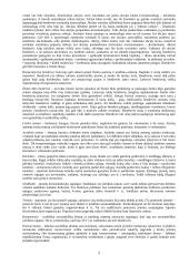 Įmonės ekonomikos tyrinėjimas 5 puslapis