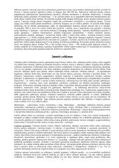 Įmonės ekonomikos tyrinėjimas 7 puslapis