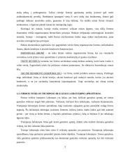 Firma ir firmos gamybos kaštai 3 puslapis