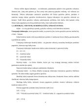 Firma ir firmos gamybos kaštai 4 puslapis