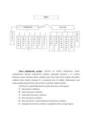 Eksploatacinių medžiagų kontrolinis darbas 5 puslapis