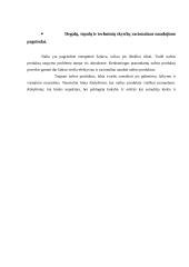 Eksploatacinių medžiagų kontrolinis darbas 8 puslapis