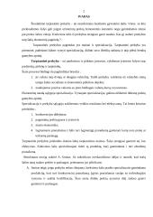 Eksporto prekių gabenimo dokumentai 2 puslapis