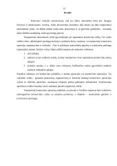 Eksporto prekių gabenimo dokumentai 12 puslapis