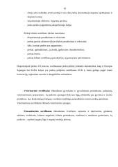 Eksporto prekių gabenimo dokumentai 10 puslapis