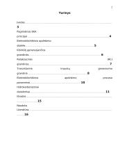 Elektrokibirkštinis apdirbimo būdas 2 puslapis