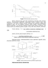 Elektrokibirkštinis apdirbimo būdas 12 puslapis