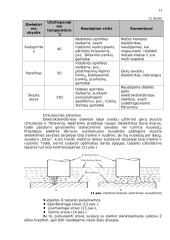 Elektrokibirkštinis apdirbimo būdas 13 puslapis