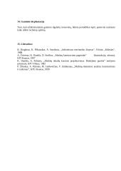 Elektromechaninis, stacionarusis krovinių keltuvas 13 puslapis