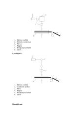 Elektromechaninis, stacionarusis krovinių keltuvas 5 puslapis