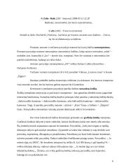 Elektroninės kalbos ekonomijos ir pertekliaus reiškiniai 6 puslapis