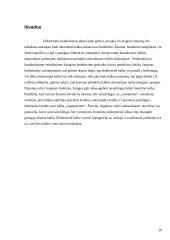 Elektroninės kalbos ekonomijos ir pertekliaus reiškiniai 10 puslapis