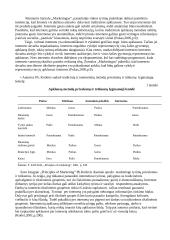 Elektroniniai marketingo tyrimai 3 puslapis