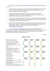 Elektroniniai marketingo tyrimai 5 puslapis