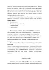 Teisingas elgesys derybų metu 3 puslapis