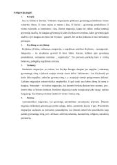 Teigiami ir neigiami emigracijos aspektai 4 puslapis