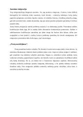 Teigiami ir neigiami emigracijos aspektai 5 puslapis