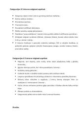 Teigiami ir neigiami emigracijos aspektai 6 puslapis