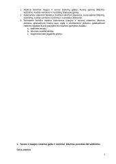 Energetinės sistemos ir technologijų užduotis 3 puslapis