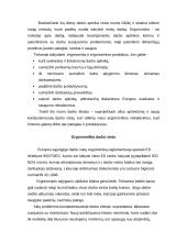 Ergonomiškai paruošta darbo vieta 2 puslapis