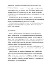 Ergonomiškai paruošta darbo vieta 3 puslapis