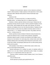 Ergonomiškai paruošta darbo vieta 4 puslapis