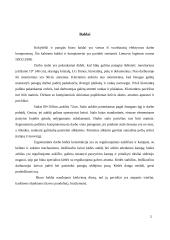 Ergonomika - klientų aptarnavimo centro įrengimas 5 puslapis