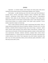 Visa informacija apie ergonomiką 3 puslapis