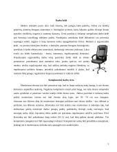 Visa informacija apie ergonomiką 5 puslapis