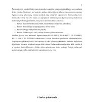Darbo patalpos parengimas 3 puslapis