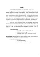 Darbo kabineto įrengimas 2 puslapis