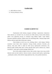 Darbo kabineto įrengimas 4 puslapis