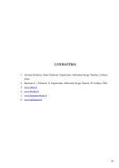 Darbo kabineto įrengimas 10 puslapis