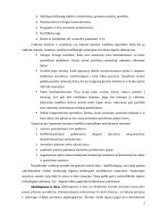 Konkurencija versle 3 puslapis