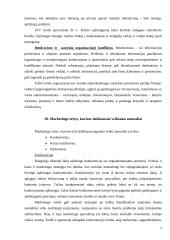 Konkurencija versle 4 puslapis