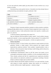 Konkurencija versle 8 puslapis