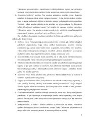 Konkurencija versle 10 puslapis