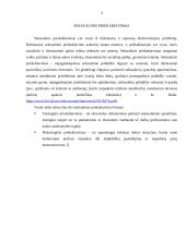 Etikos problemos 3 puslapis