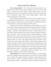 Europos studijos 2 puslapis