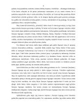 Europos studijos 11 puslapis