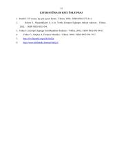 Europos studijos 13 puslapis