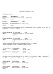 Finansinės atskaitomybės suvestinė 4 puslapis