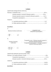 Finansiniai uždaviniai 3 puslapis