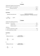 Finansiniai uždaviniai 10 puslapis