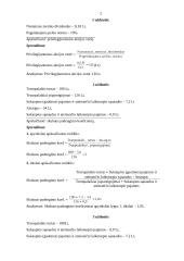 Pelno ir akcijų uždaviniai 2 puslapis