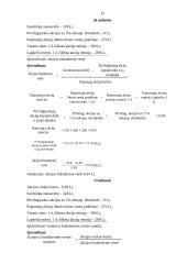 Pelno ir akcijų uždaviniai 13 puslapis