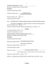 Pelno ir akcijų uždaviniai 3 puslapis