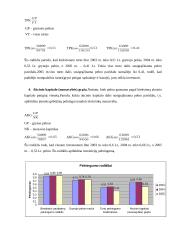 Finansų valdymo rodikliai 17 puslapis