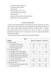 Finansų valdymo rodikliai 9 puslapis